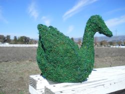 Duck Moss Topiary 12 inches tall